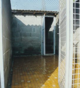 pension canine en bourgogne box pour chien élevage de sinforace saone et loire