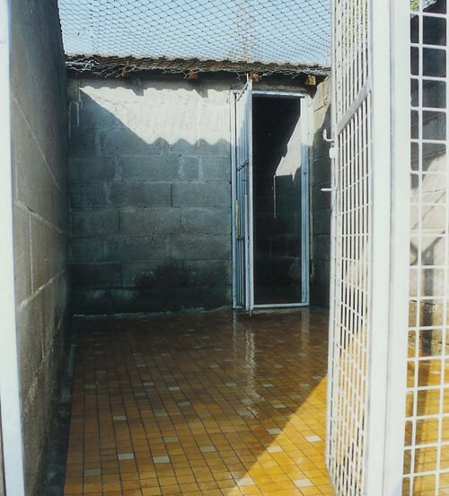 pension canine en bourgogne box pour chien élevage de sinforace saone et loire