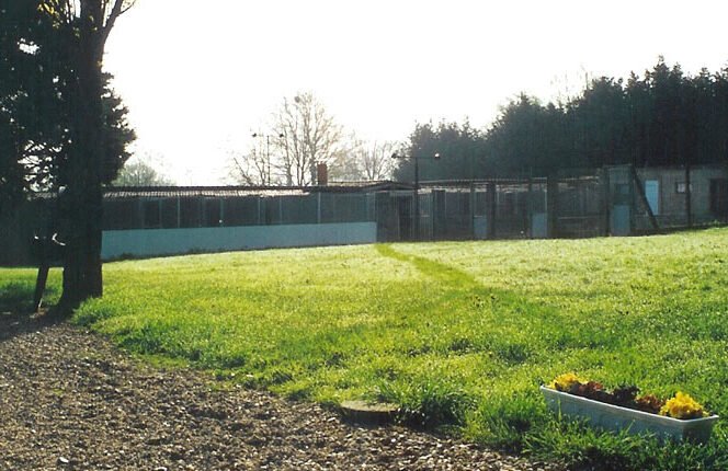 pension canine élevage de sinforace box extérieurs sécurisés pour chiens en bourgogne